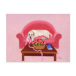 Yellow Labrador on the pink couch postcards