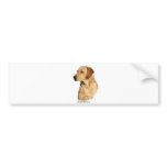 Yellow Labrador Retriever Bumper Sticker