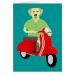 Yellow Labrador Retriever  Cards