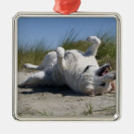 Yellow Labrador Retriever Christmas Ornaments