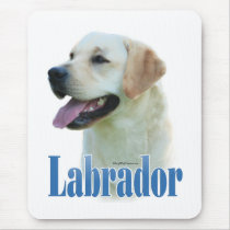 Yellow Labrador Retriever Name