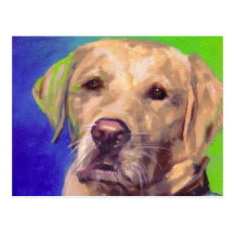 Yellow Labrador Retriever Post Card