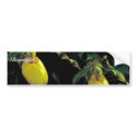 Yellow lady's slipper bumper stickers