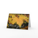 Yellow Leaves - Thank you! cards