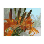 Yellow lilies postcards
