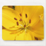 Yellow Lilly mousepads