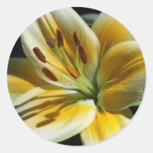 Yellow Lily Stickers