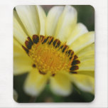 Yellow macro flower photography mousepad gift