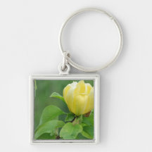 Yellow Magnolia Keychains