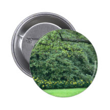 yellow Manicured Greenery flowers Pin