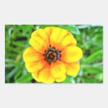 Yellow Marigold flower Rectangular Sticker
