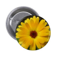 Yellow Marigold Macro Button