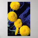 yellow Marigolds on blue fabric flowers Print