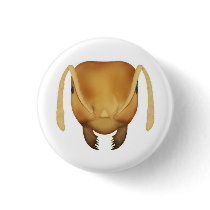 Yellow meadow ant button
