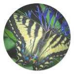 Yellow Monarch stickers