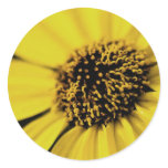 Yellow Morning stickers
