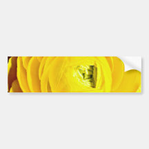 Yellow mum, close-up  flowers bumper sticker