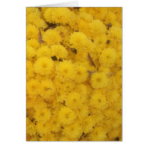"Yellow Mums" Card