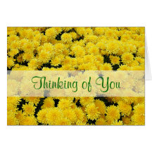 Yellow Mums Thinking of You Card