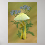 Yellow Mushrooms with tiny blue flowers  posters