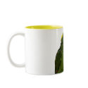 Yellow Nape Amazon 11oz mugs