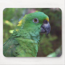 Yellow Naped Amazon Photography Mouse Pads