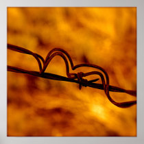 Yellow Orange Barbed Wire Fugue Posters