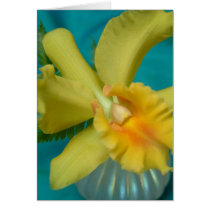 yellow orchid greeting card