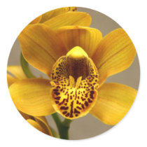 Yellow Orchid stickers