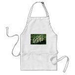 Yellow Ox-Eye-Daisy (Leucanthemum Vulgare) flowers aprons