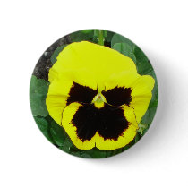Yellow Pansy Button