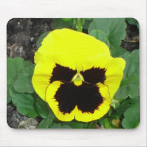 Yellow Pansy Mousepad
