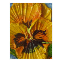 Yellow Pansy Postcard