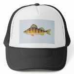 Yellow perch hats