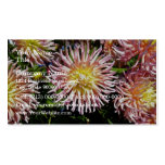 Yellow Pink Spider Dahlia Business Cards