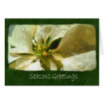 Yellow Poinsettias 1 Painterly - Seasons Greetings Greeting Card