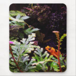 Yellow Poison Dart Frog mousepads