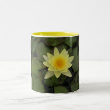 Yellow Pond Lily Mug