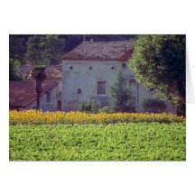 yellow Provencal mas near Carpentras in field of s Cards