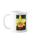Yellow & Purple Cattleya Orchid mugs