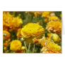 Yellow Ranunculus Flower Card