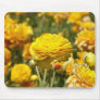 Yellow Ranunculus Flower Mousepad