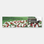 Yellow Red and white tulips, Kew Gardens flowers Bumper Sticker