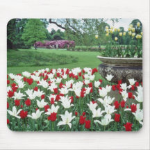 Yellow Red and white tulips, Kew Gardens flowers Mouse Pads