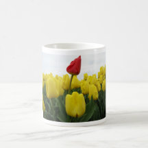 Yellow Red Tulips Coffee Mug