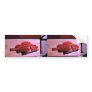 Yellow Rockfish Bumper Stickers