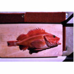 Yellow Rockfish photo sculptures