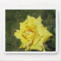 Yellow Rose-1 Mousepad