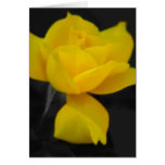 Yellow Rose and meaning Card