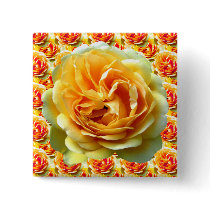 Yellow Rose Bloom Buttons